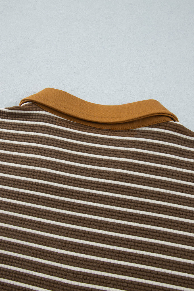 Brown Stripe Colorblock Detail Collar V Neck Plus Size Long Sleeve Top